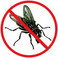 EHS Pest Control Ltd AYR 373658 Image 3